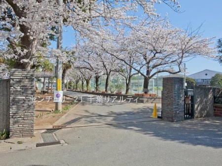 ӊ ywZzts钆wZF2002m