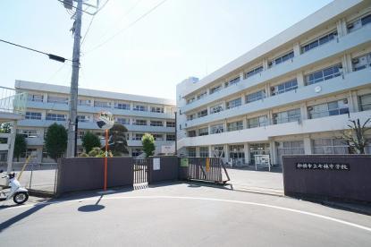 ӊ ywZzDsђwZF1000m