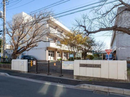 ӊ ywZzDs炪uwZF620m