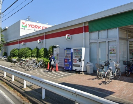 ӊ yX[p[z[Nt[Y炪uXF271m