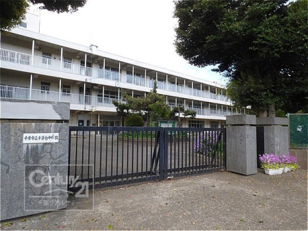 ӊ ywZzts瑐䒆wZF230m