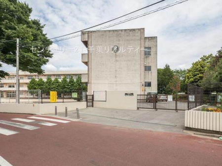 ӊ ywZzDsюRwZF200m