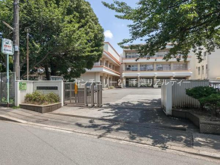 ӊ ywZzDsюRwZF500m