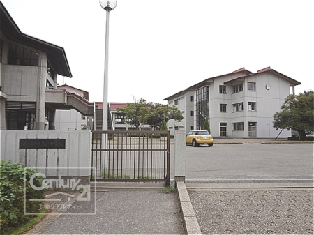 ӊ ywZzPYsgwZF1705m