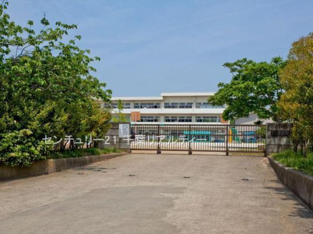 ӊ ywZzsst䏬wZF745m