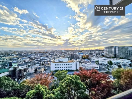 Z˂̒]ʐ^ ꂽɂ͐nJIȎԂy߂܂BC̗ǂʂ蔲X݂łI
