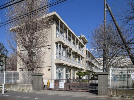 ӊ ywZzts֐XwZF1615m