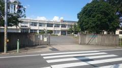 ӊ ywZzPYs`wZF2420m