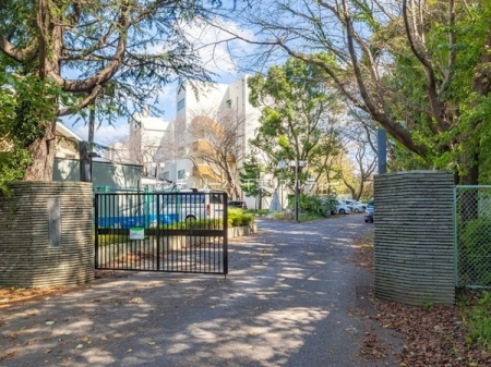 ӊ ywZzPJsܒwZF2418m