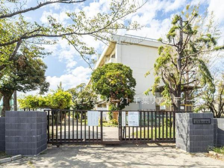 ӊ ywZztslwZF2100m