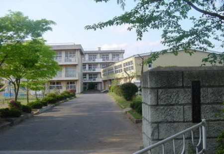 ӊ ywZztsuwZF500m