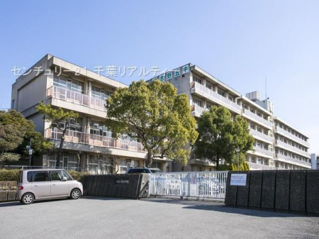 ӊ ywZzKusܒwZF640m