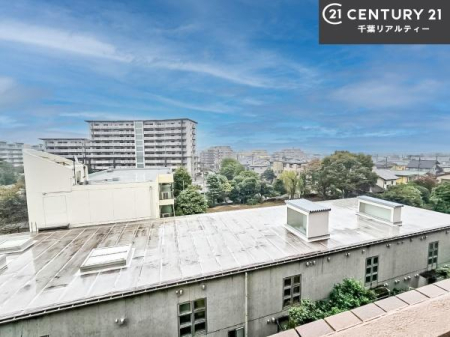 Z˂̒]ʐ^ ZXłI͂ɂ͍ȂA󂪍LJAz傫Ղ邱Ƃ܂IC̗ǂʂ蔲X݂łI