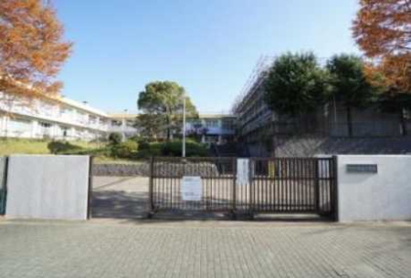 ӊ ywZztsJwZF1400m