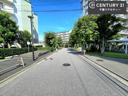 ̑n 邢͋C̕YIKȓ퐶܂I