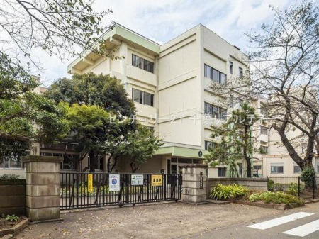 ӊ ywZztsv쒆wZF1520m