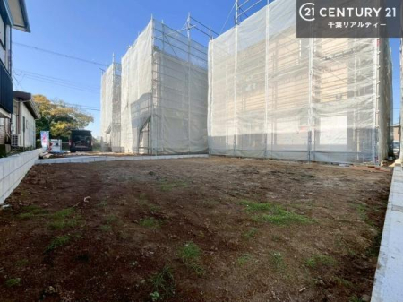 ̑n zAʂǍDȗnłB񂨋Cyɂ₢킹B