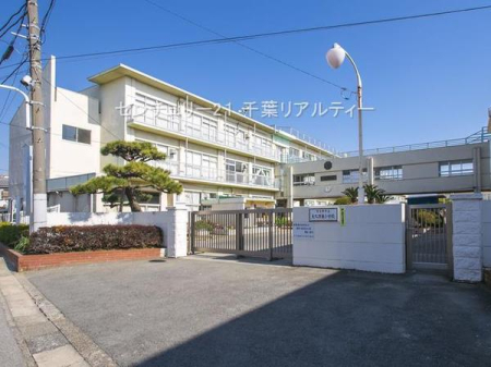 ӊ ywZzKusvۓwZF500m