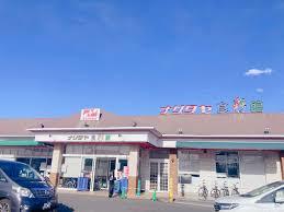 ӊ yX[p[zi^̑XF1102m