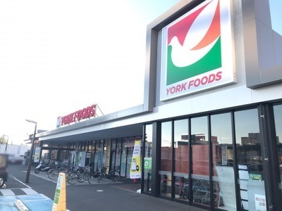 ӊ yX[p[z[Nt[YsXF1000m