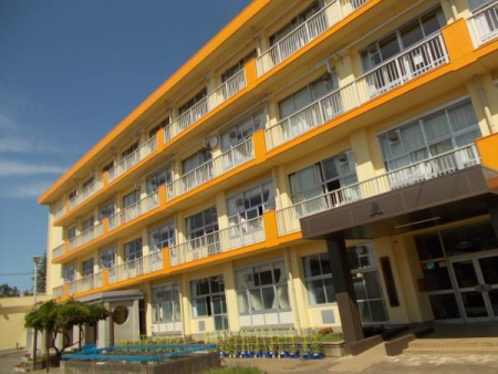 ӊ ywZzts쏬wZF800m