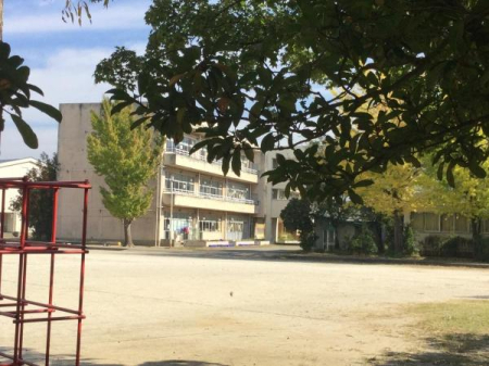 ӊ ywZzssΒˏwZF650m