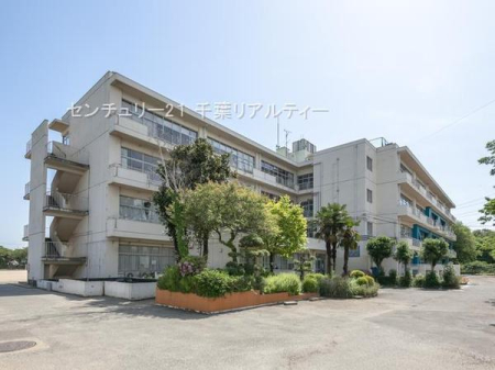 ӊ ywZzPJsӏwZF1360m