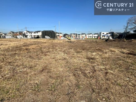 nynʐ^ zAʂǍDȗnI
ӊ⑼܂Ƃ߂Ăē\łIsY̎ȂǂȎłCyɂkB