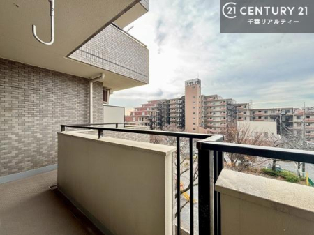 �Z�˂���̒��]�ʐ^ ���]�ǍD�ȃo���R�j�[�B���V�C�̂������ɂ̓o���R�j�[�ւłă��t���b�V������̂������ł��ˁI