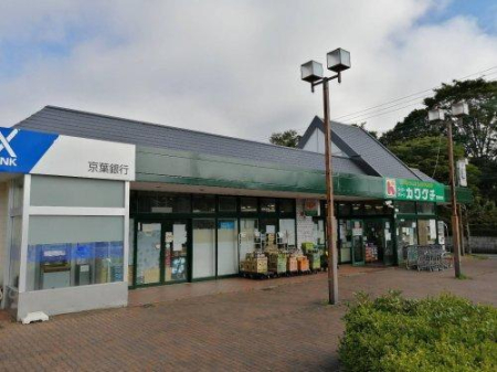 ӊ yX[p[zX[p[`F[JO`gXF1775m