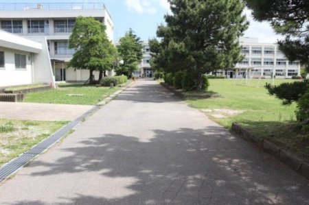 ӊ ywZz؍XÎs⍪wZF970m