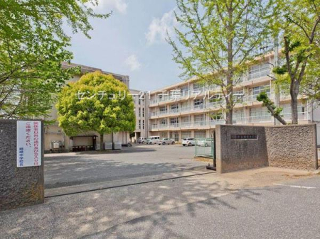 ӊ ywZzsso蒆wZF2018m