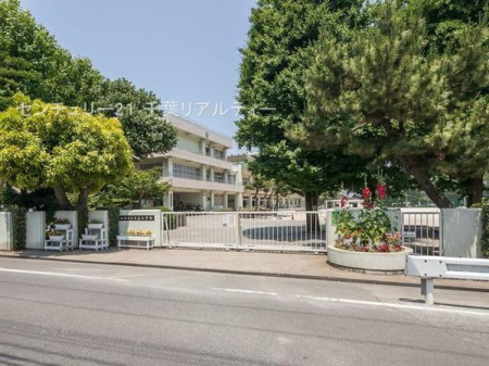 ӊ ywZzDsORwZF1200m