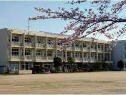 ӊ ywZz؍XÎsxcwZF1153m