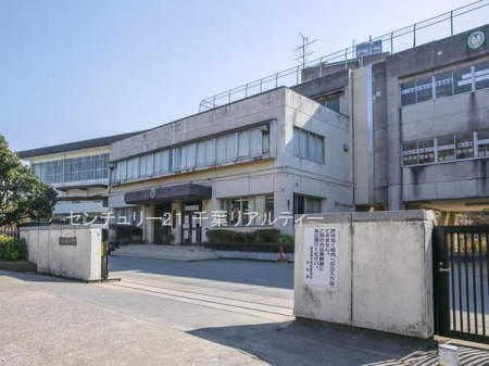 ӊ ywZzKusZwZF250m