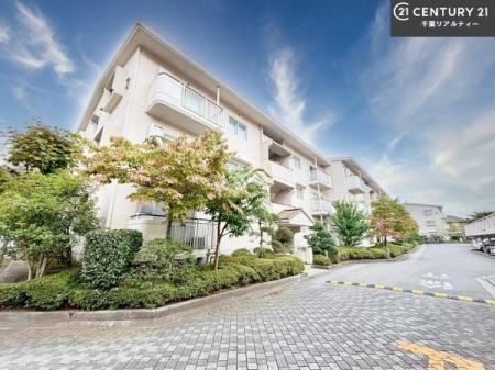 nOώʐ^ ē\łBA΁Awł܂̂łCyɂ₢킹BdAɂǂIv]ɂ킹āA]̂ƂKT܂I