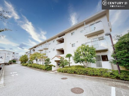 ̑n TRcBT|CgBKȂZ܂Ƃ̏o̂`v܂I
łCyɂ⍇B