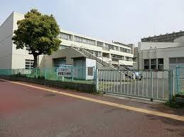 ӊ ywZztsKOwZF910m