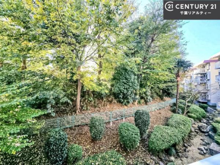 Z˂̒]ʐ^ ꂽɂ͐nJIȎԂy߂܂BC̗ǂʂ蔲X݂łI
