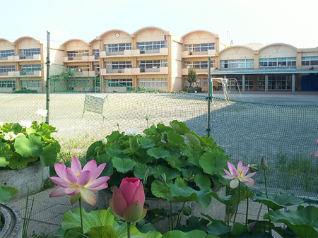 ӊ ywZzts䏬wZF532m