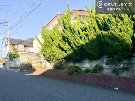 OʓH܂ތnʐ^ 낢Ȃ]܂Aql̂v]ǂǂB
Ђ̐X^bt܂I