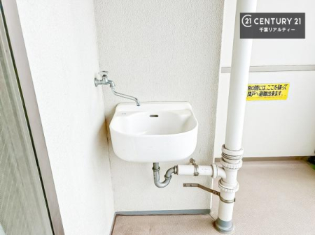 ̑ oRj[tIK[fjOoRj[̂|ɕ֗łI