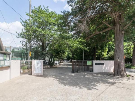 ӊ ywZzDsꒆwZF1100m