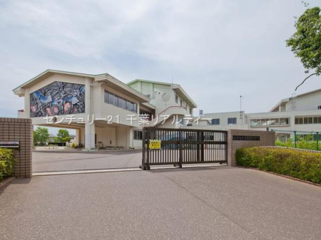 ӊ ywZzlXsgwZF800m