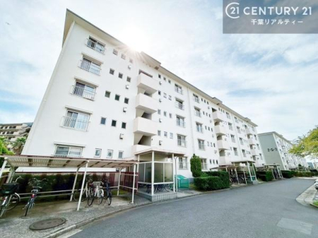 ̑n zAʂǍDȗnłB񂨋Cyɂ₢킹B