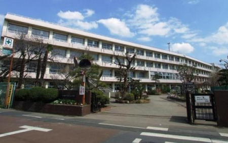 ӊ ywZzDsČ䏬wZF650m