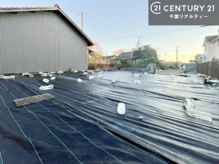 ���n�y�n�ʐ^ ���D���ȃn�E�X���[�J�[�ŗ��z�̂��Ƃ����Ă��܂��B
������񂾂��łȂ��A���ӊ������ꏏ�ɂ��ē��I
