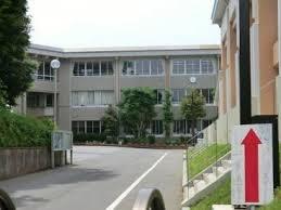 ӊ ywZzX䒬X䏬wZF2200m