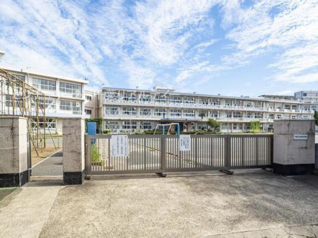 ӊ ywZzts쏬wZF800m