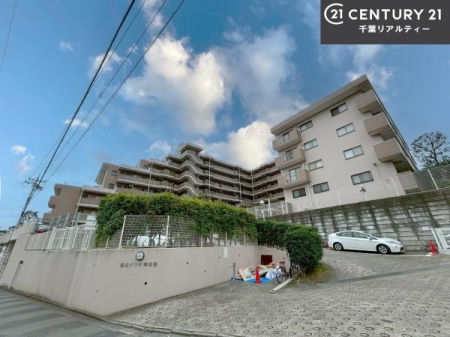 ���̑����n �u���̕����C�ɂȂ�I�v�u�������Ăǂ�ȏ��H�v�u�����Əڂ����m�肽���I�v�Ǝv������A���C�y�ɂ����k���������B